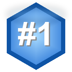 Top Caller (Monthly)